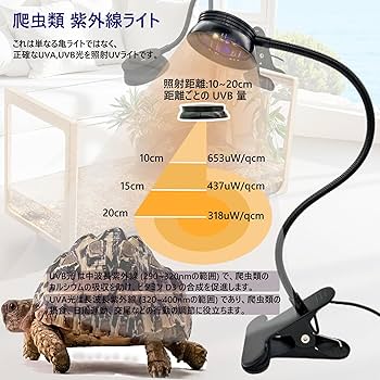 爬虫類等飼育セット(ケージ・保温ランプ・給水器・紫外線ランプ・カルシウム粉末) 爬虫類 保温ライト 25W ヒーター 紫外線ライト 亀用 新倉庫入荷セール