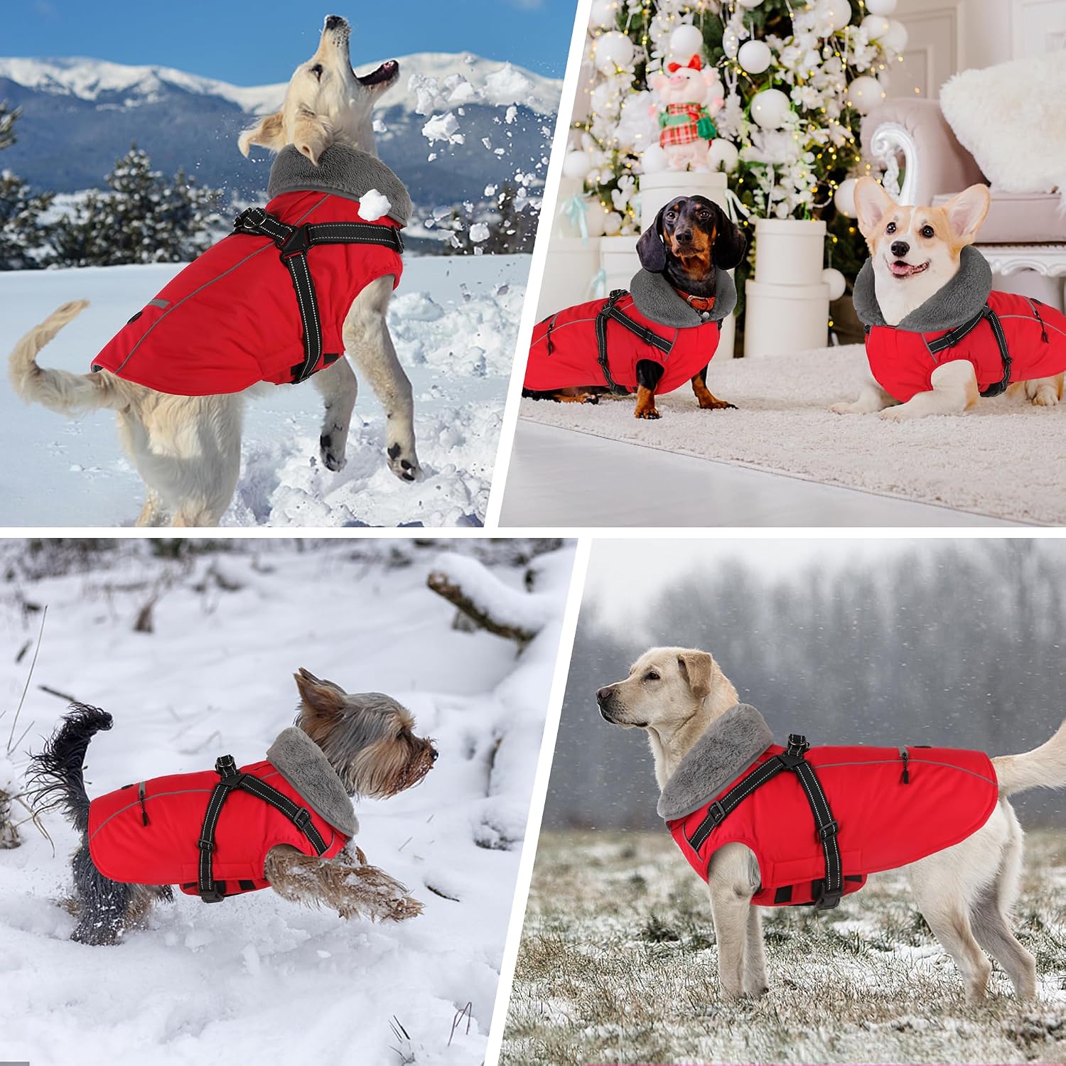 Dogcheer Dog Coat with Harness, Waterproof Dog Jacket Christmas Puppy Winter Coat with Pocket, Reflective Adjustable Pet Turtleneck Fleece Jacket Sweater for Small Medium Large Dogs - Red M