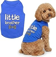 Vista 50 de Parisian Pet - Camiseta para perros y gatos, con texto en inglés Big Sister, 2XS