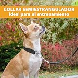Ver la foto 5