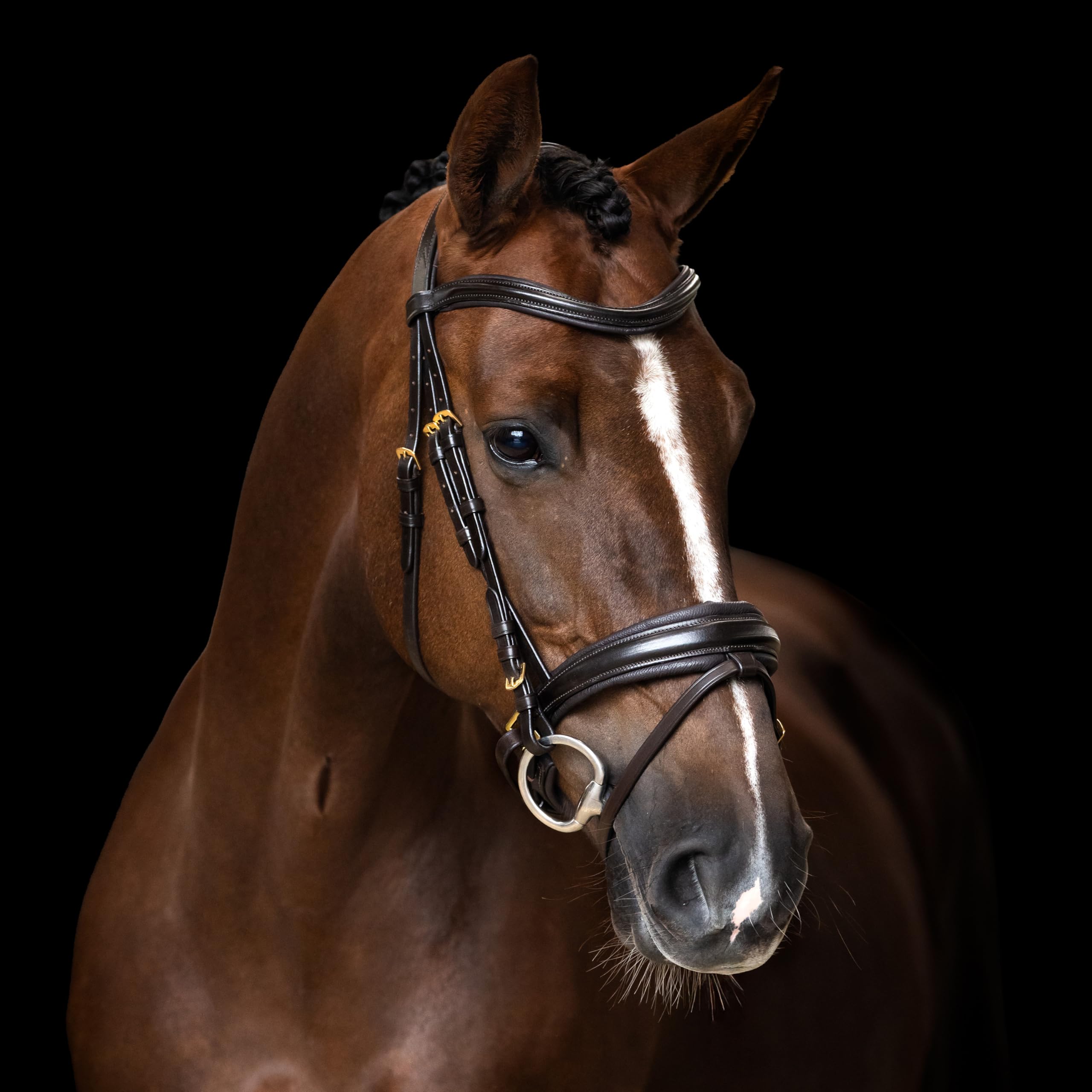 Imperial Riding Briglia IRH combina Sleek, Cavezza Inglese con Collo ergonomico e Cinghia di bloccaggio Rimovibile, Marrone, COB