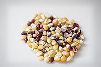 Vista 2 de Amish Country Popcorn 1 lb Bag Rainbow Popcorn Kernels Old Fashioned, Non-GMO and Gluten Free (Rainbow - 1 lb Bag)
