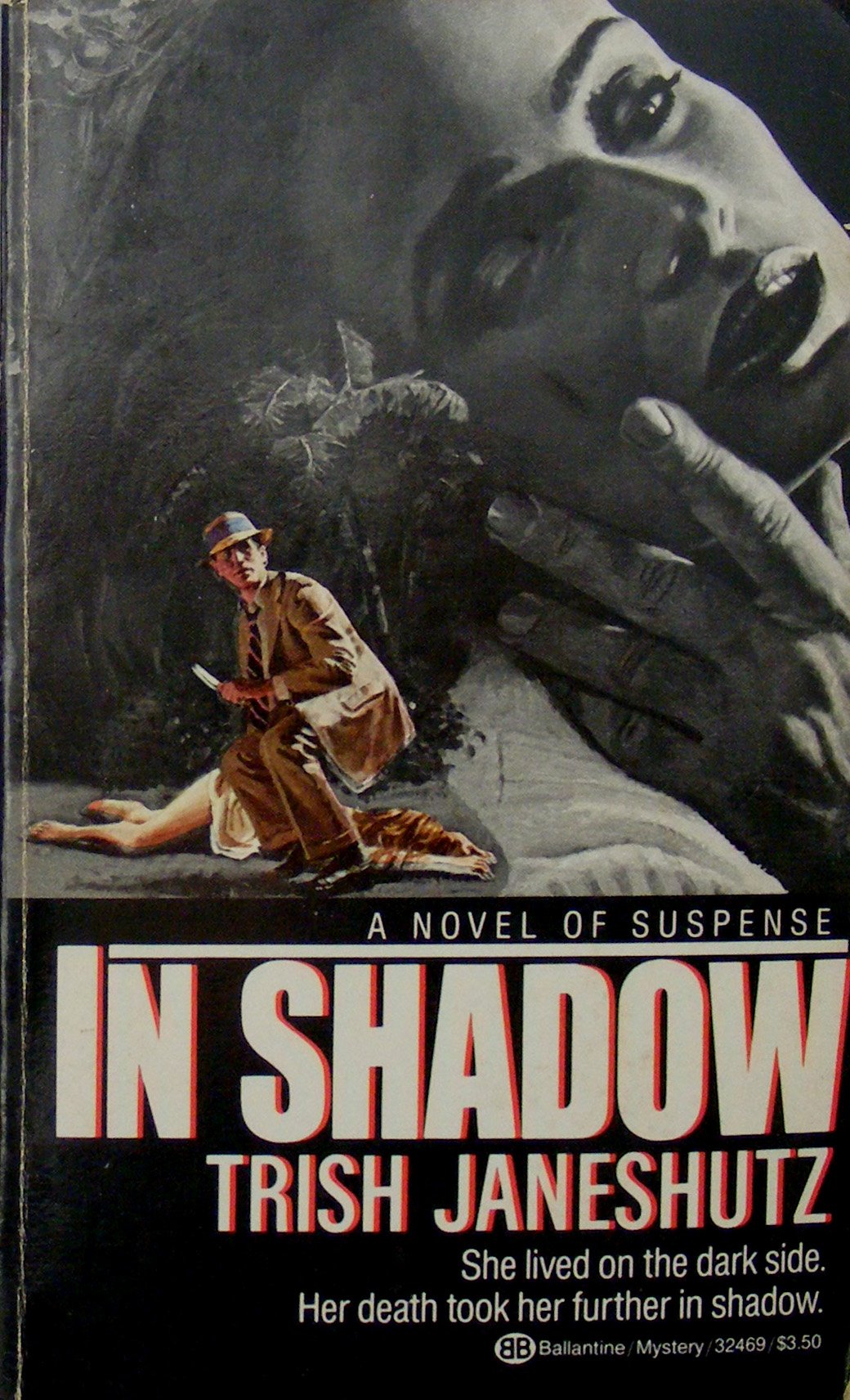 Cover of In Shadow
