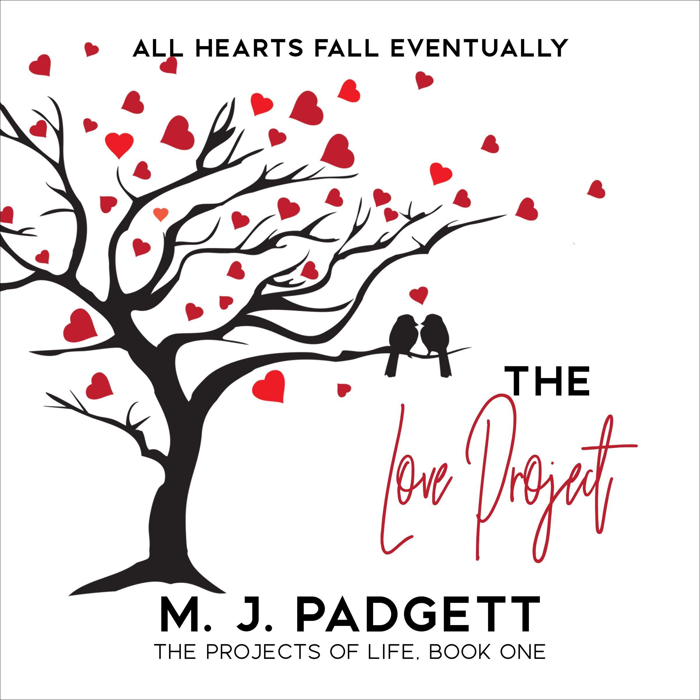 Cover art for The Love Project
