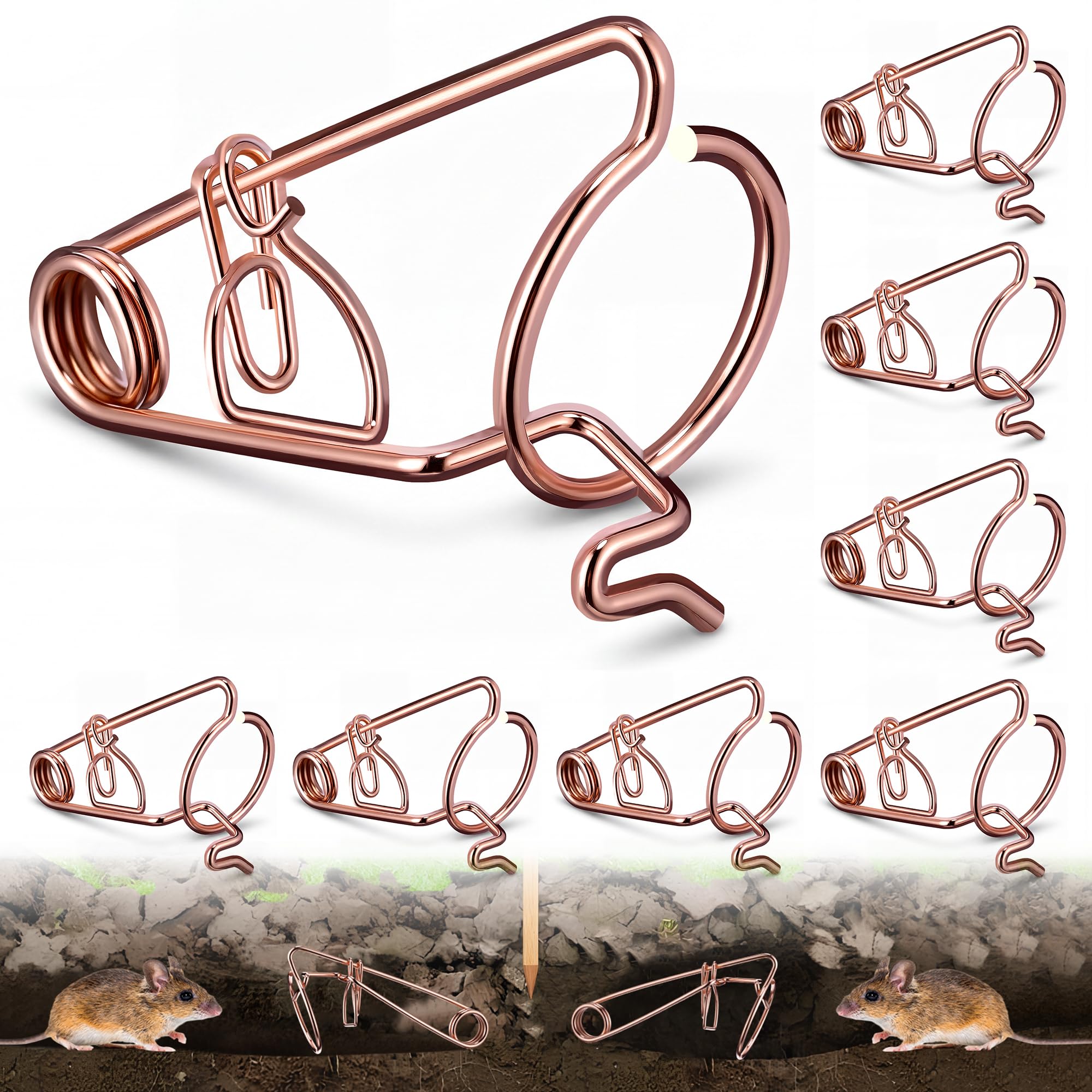 Enhon 8 Pièces Professionnel pour Campagnols Et Taupes, Pièges pour Campagnols en Fil d'acier Cuivré, sans Poison - Aucun Appât Nécessaire, Efficace Contre Les Et Les Taupes dans Le Jardin
