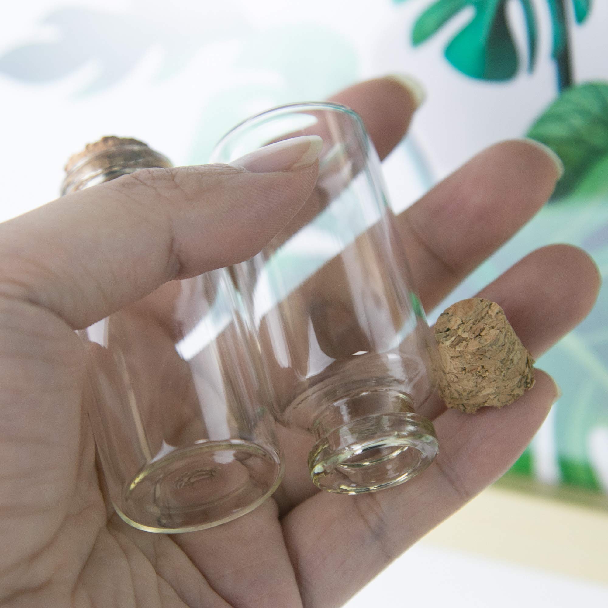 Bol En Verre Transparent, Récipient De Conservatio... – Grandado