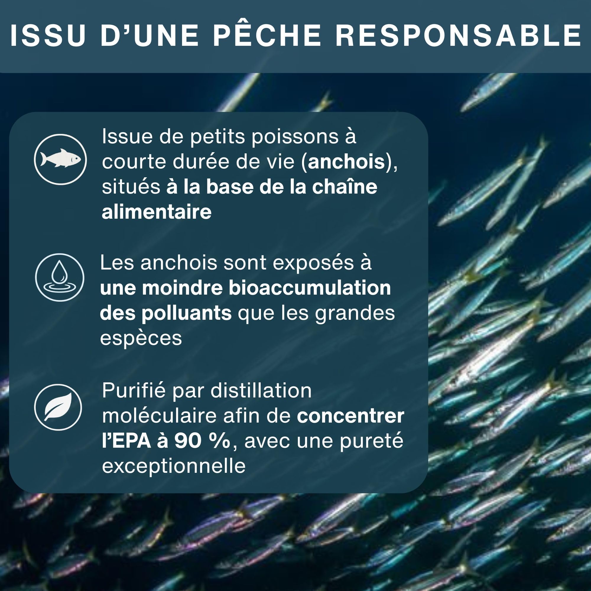 Pharmepa RESTORE Oméga 3 EPA 1000 mg, Concentré à 90%, forme rTG, Huile de Poisson Sauvage Ultra Pure, 60 capsules, Certifié IFOS, Goût Naturel de Citron - par Igennus