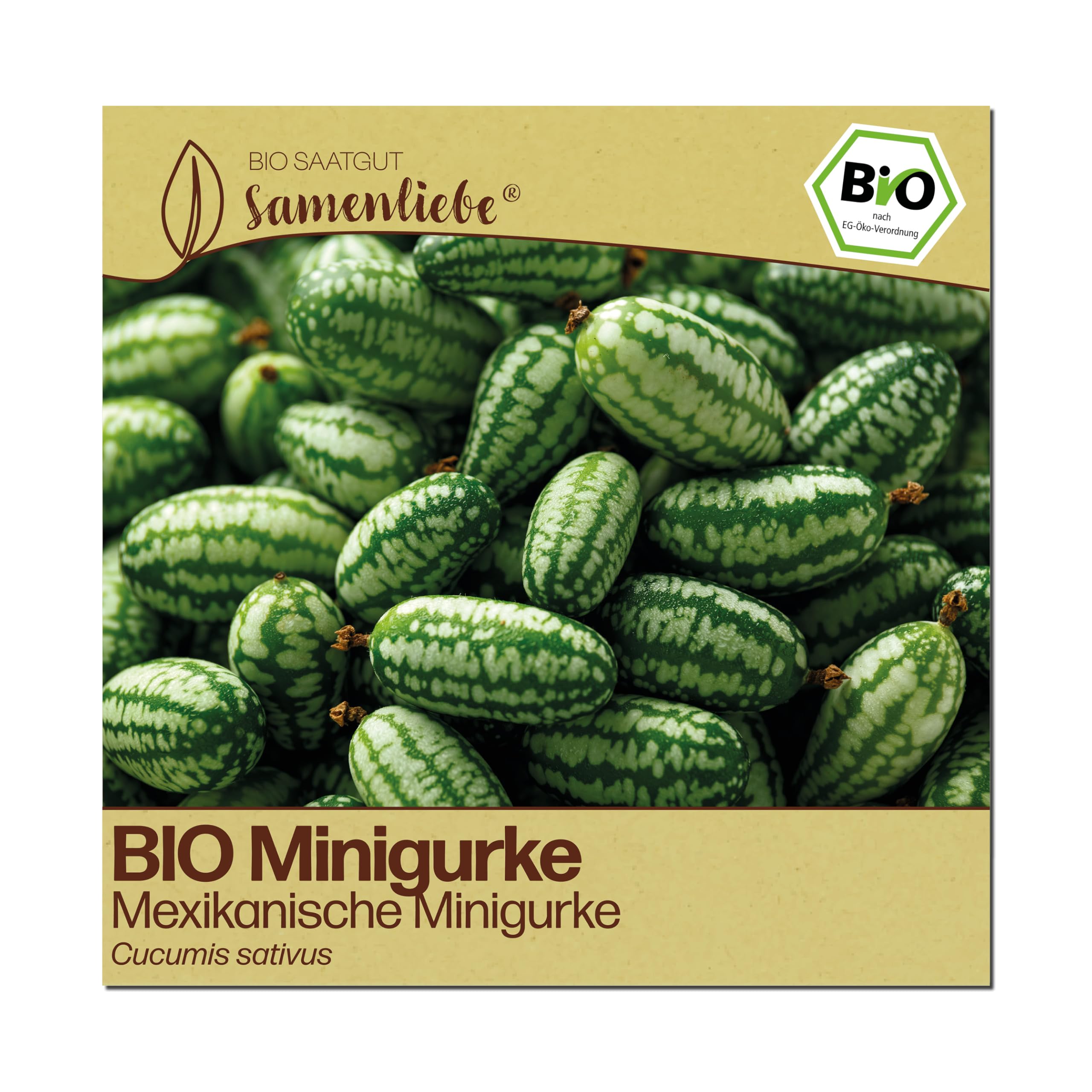 Samenliebe BIO Gurken Samen | Mexikanische Minigurke - mini Snackgurke - samenfestes BIO Saatgut