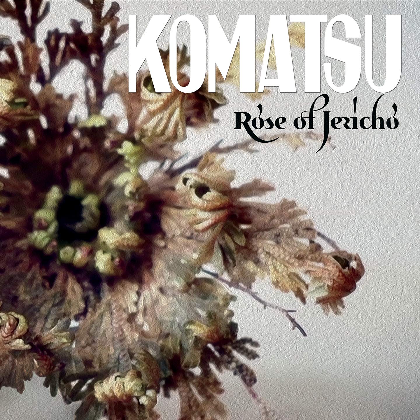 Rose Of Jericho [VINYL]