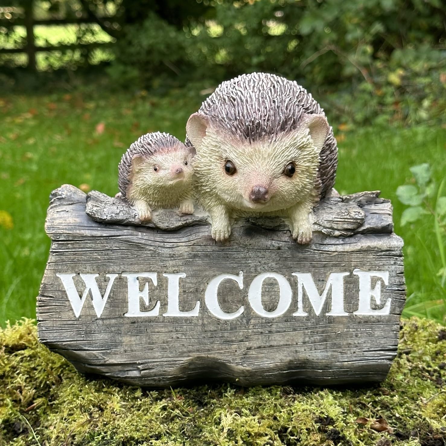 Animal Crackers 'WELCOME' garden ornaments (Frogs, Birds, Hedgehogs) (Hedgehogs)