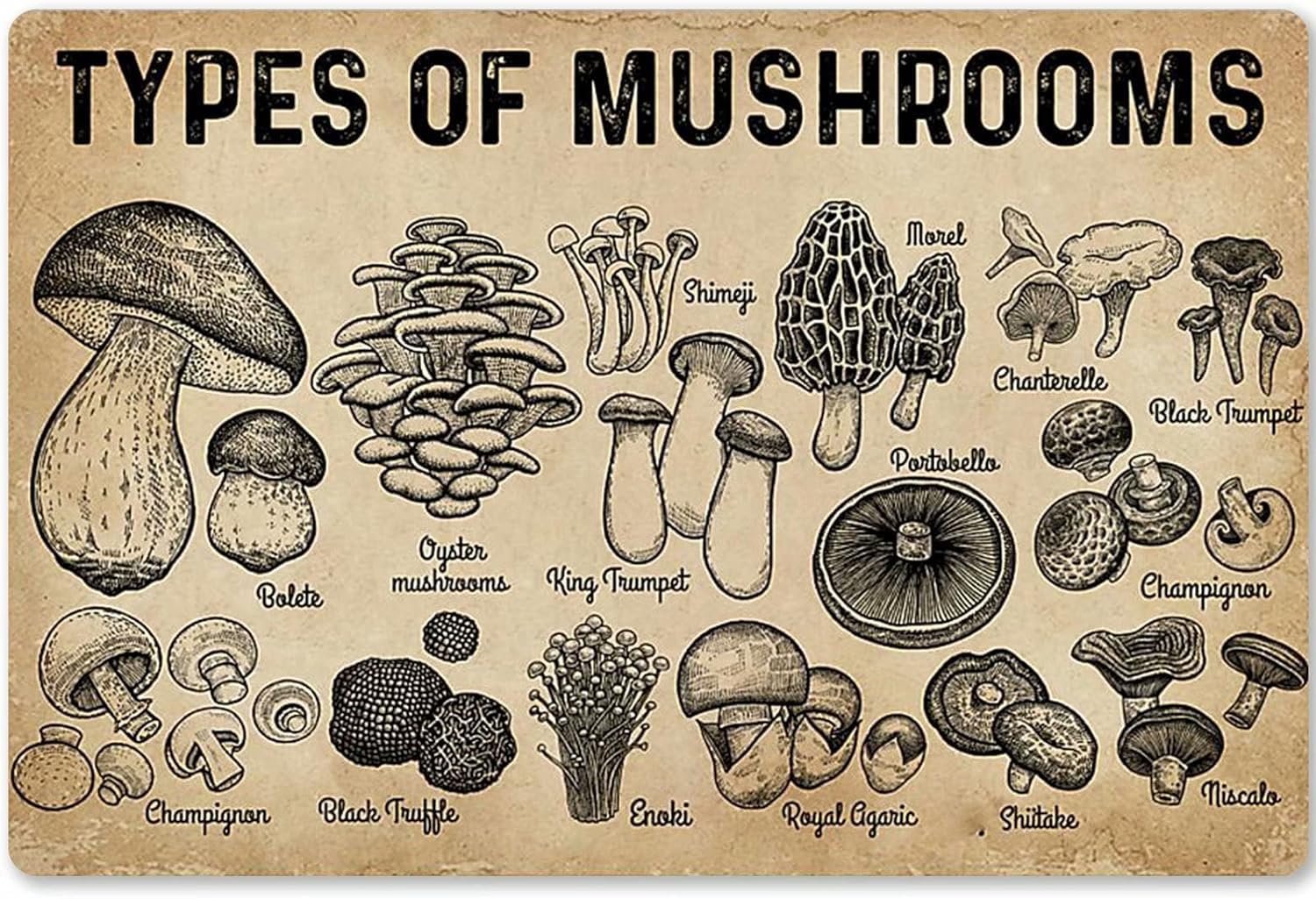 rayprint Types Of Mushrooms Metal Tin Signs Mushroom Knowledge Retro Poster Farmers Farmhouse Restaurant Wall Decor Home Kitchen Club Wall Decor 12x16inch