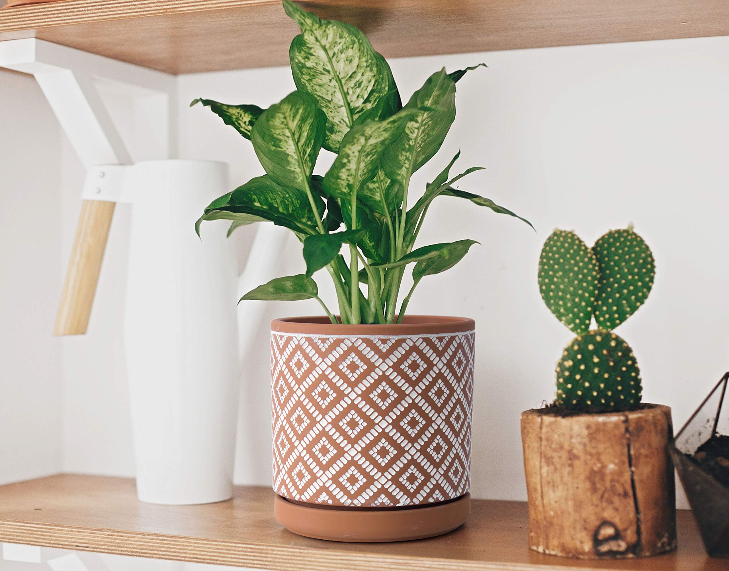 Amazon.com : D'vine Dev Set of 2 Terracotta Pots, Geometric