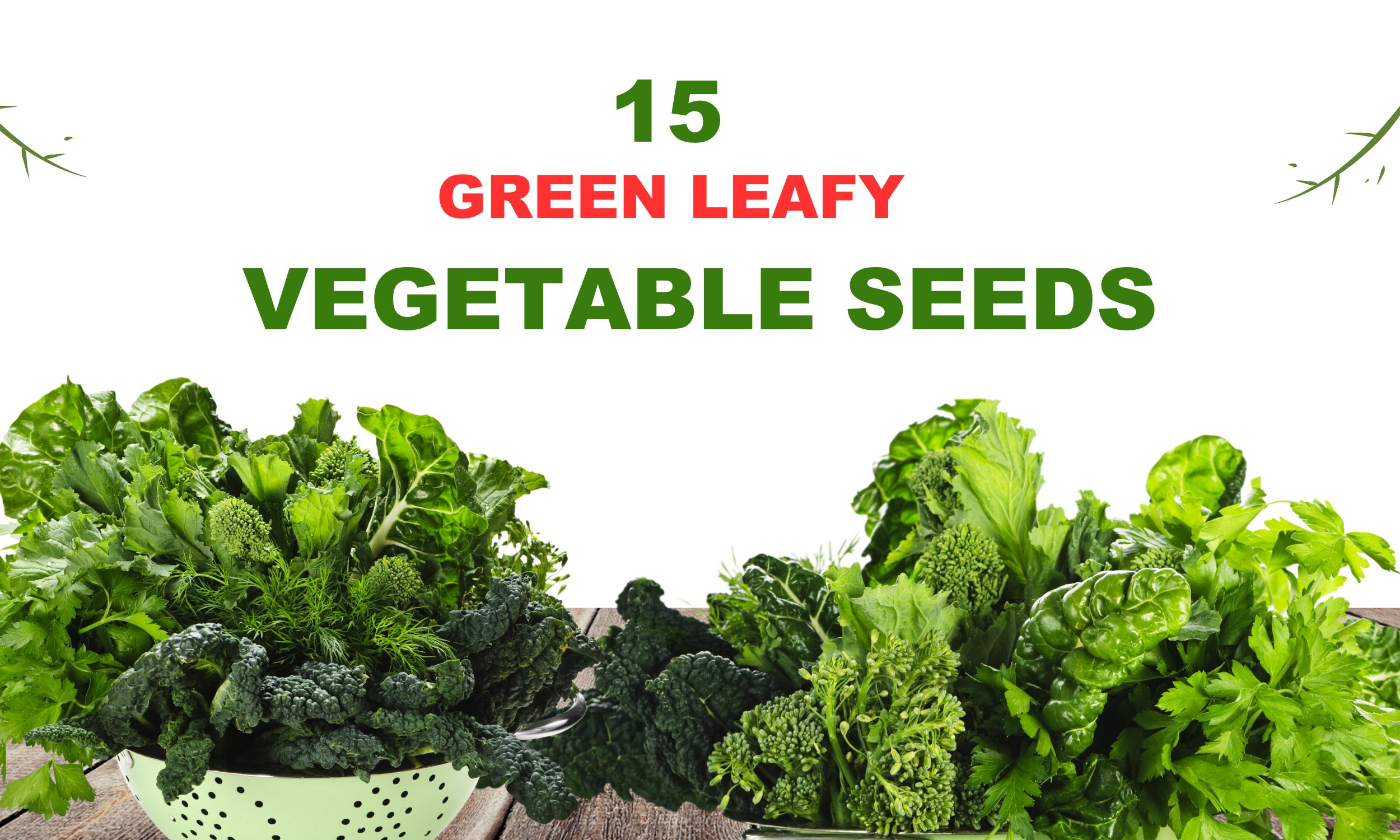 Vegetable Seeds