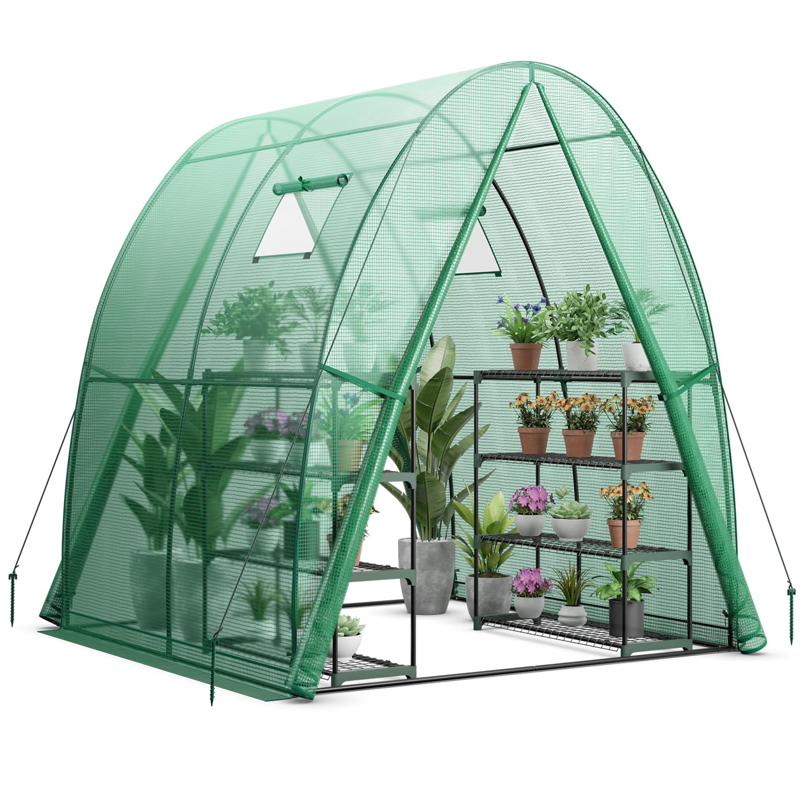 GYMAX Serra da Giardino, 181x181x200cm, Serra a Tunnel con 2 Finestre Avvolgibili e 2 Porte con Cerniera, Copertura in PE, Resistente al Vento, ai Raggi UV, Serra Invernale per Orto e Piante (Verde)