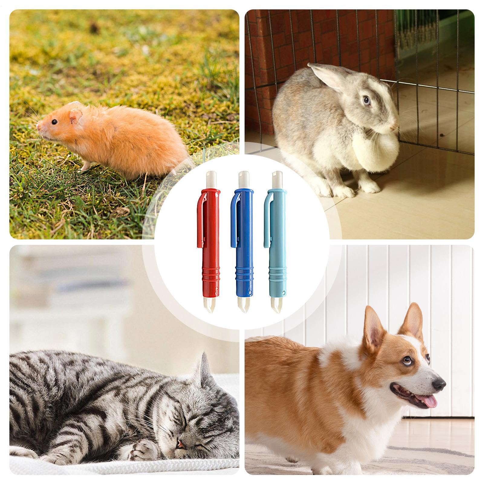 Outil d'Extraction de Tiques, 3 Pièces Pince à Tiques pour Poils de Chien, Accessoires Multifonctions pour Soins Animaliers, Outil de Nettoyage Rapide Portable pour Extérieur Voyage Camping