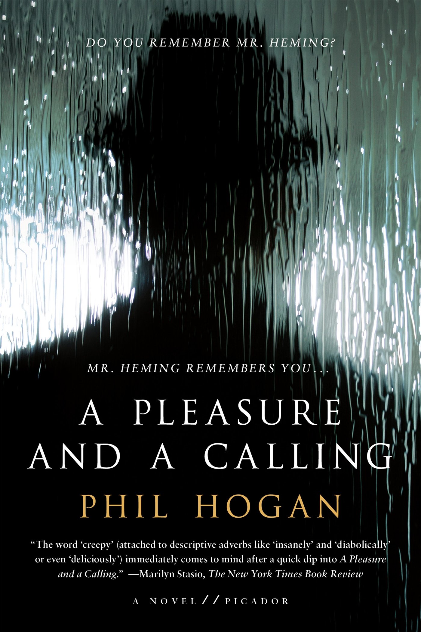 A Pleasure and a Calling: A Novel