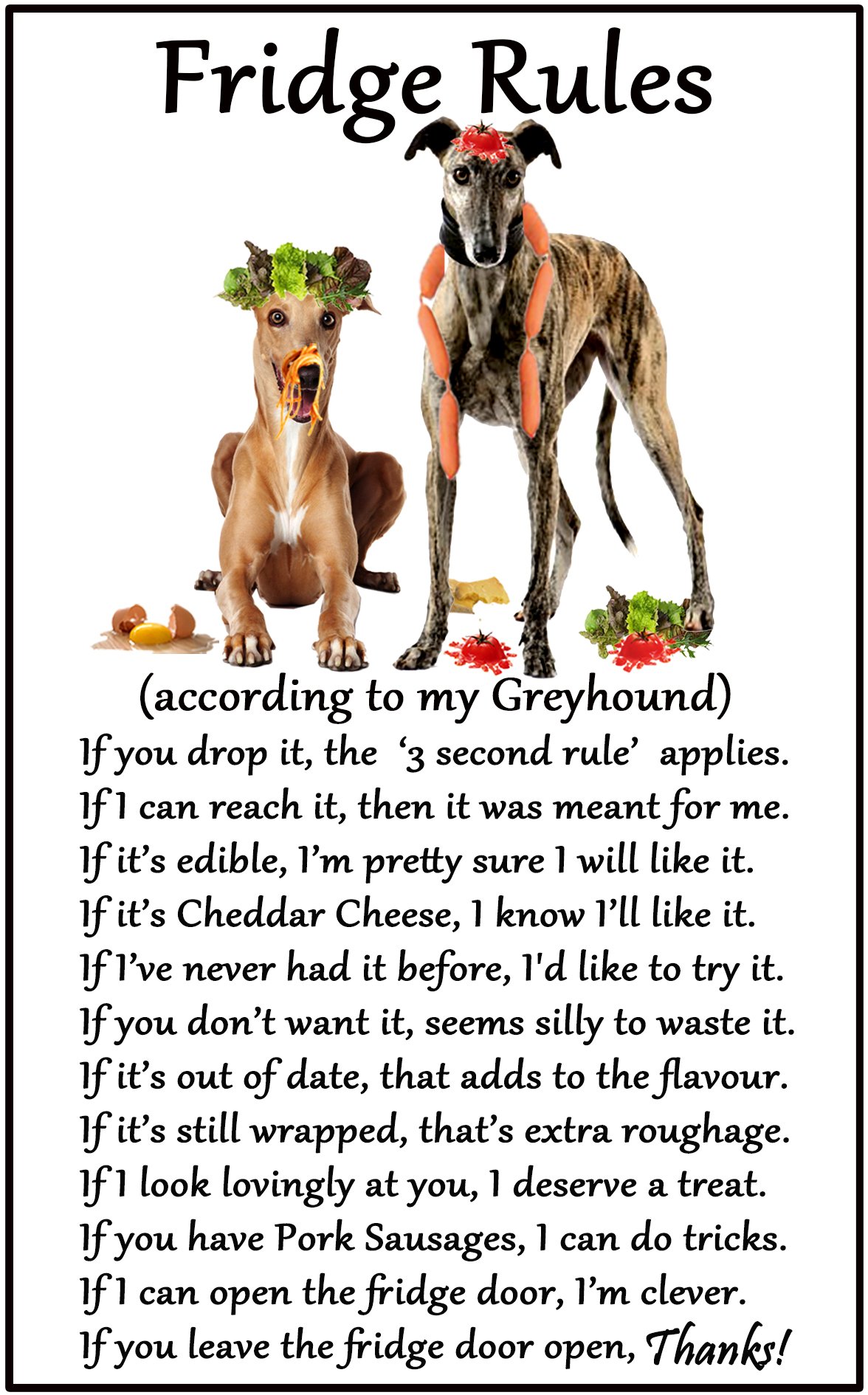 Fridge Magnets Multicolor Greyhound Dog Gift - Fridge Rules - Large Flexible Fun Fridge Magnet- Size 16Cms X 10 Cms (Approx. 6" X4")