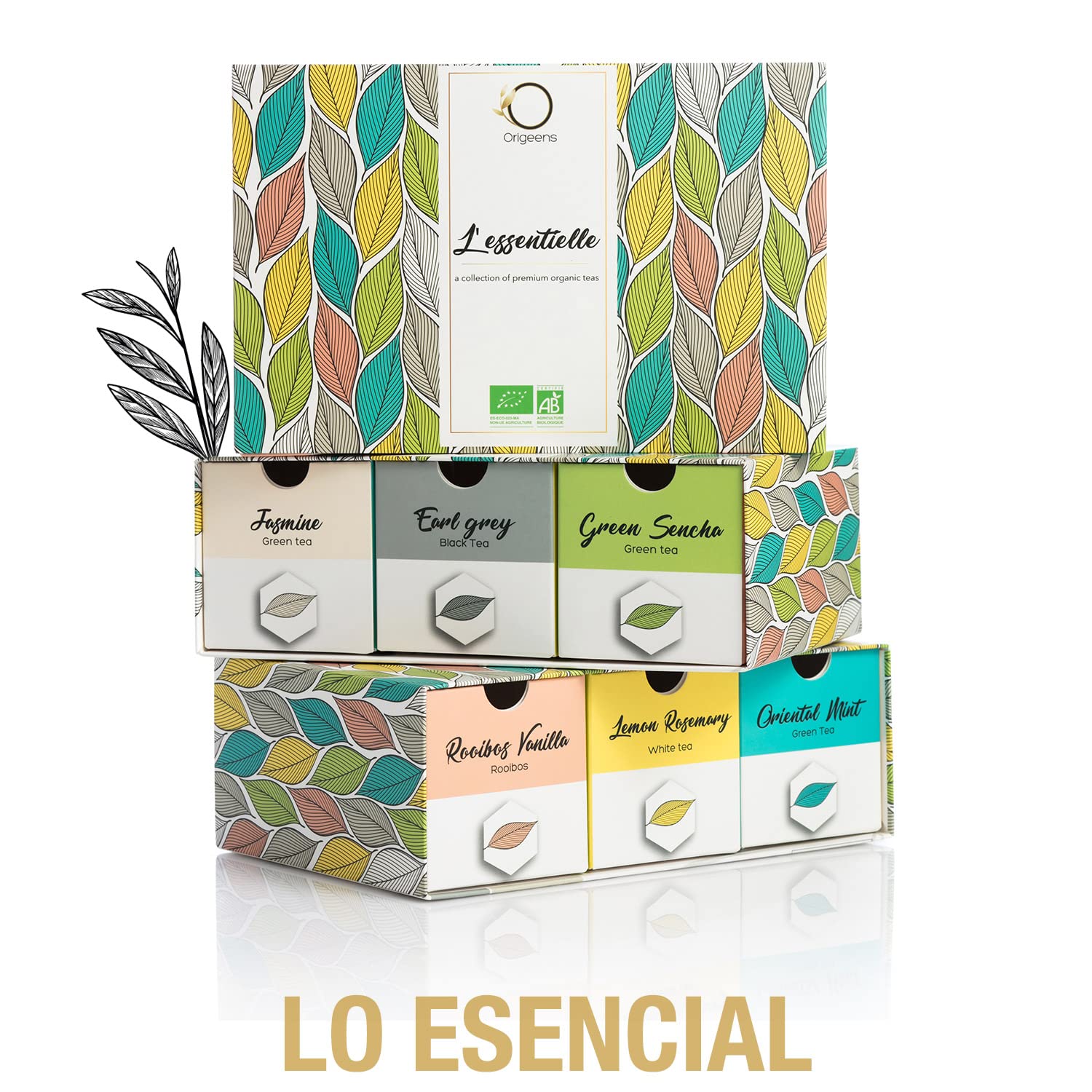 ORIGEENS TE ORGANICO Caja té Orgánico Surtido premium 6 sabores Caja Regalo 48 bolsitas piramidales