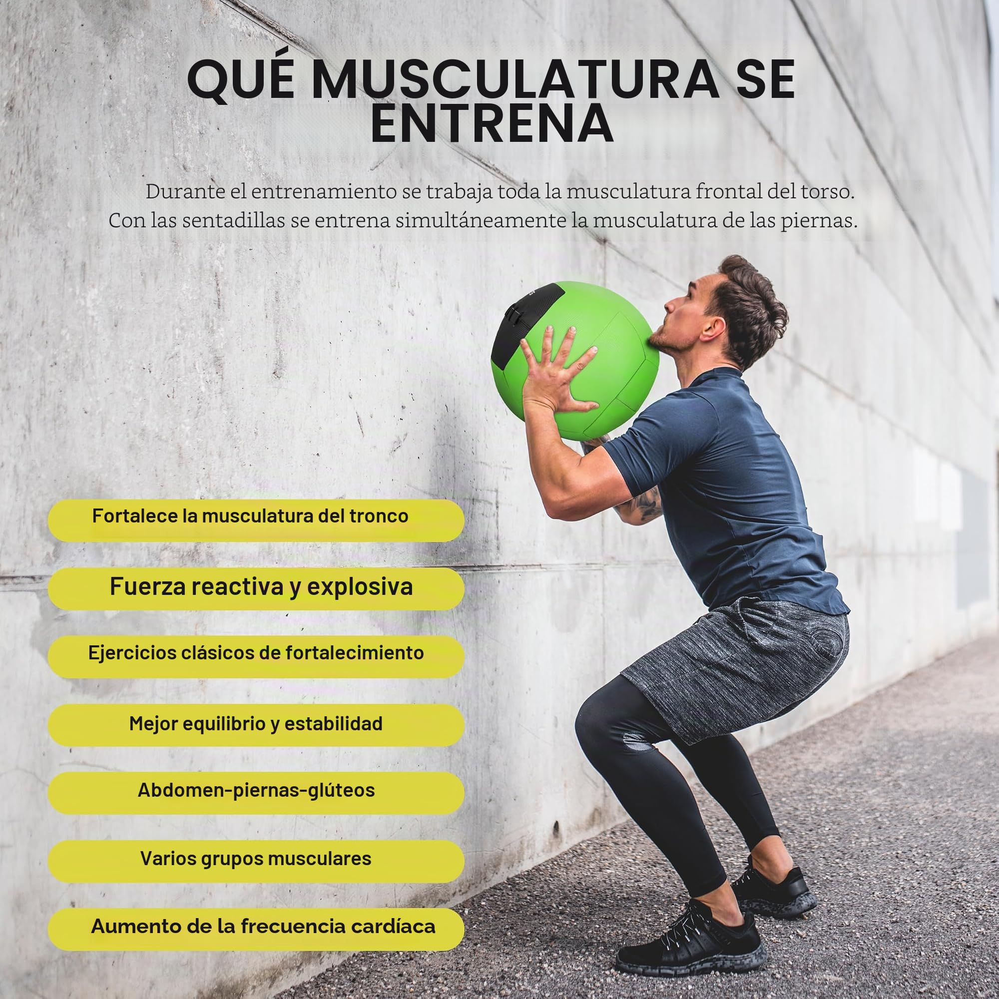 MSPORTS Wall-Ball Premium - Balón medicinal (2-10 kg)