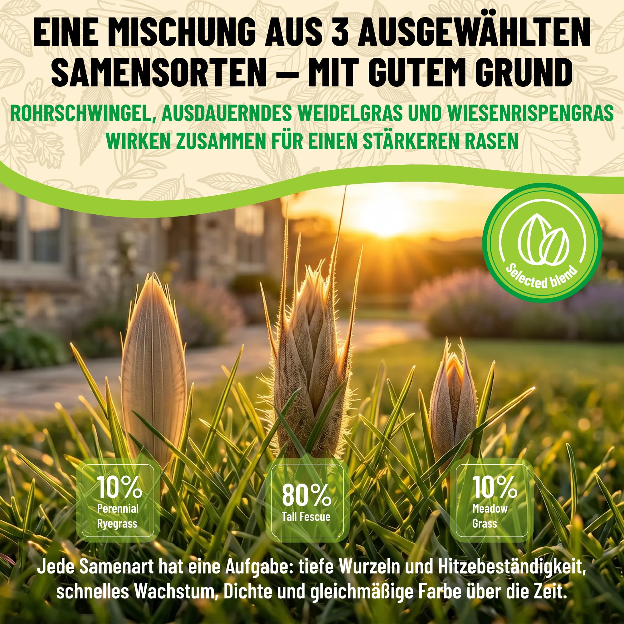BIOEXXE Rasensamen Schnellkeimend 160 m² - Grassamen Trockenresistent mit Festuca Arundinacea und Deutschem Weidelgras - Rasensaat für Schattenrasen und Rasenreparatur - Made in Italy