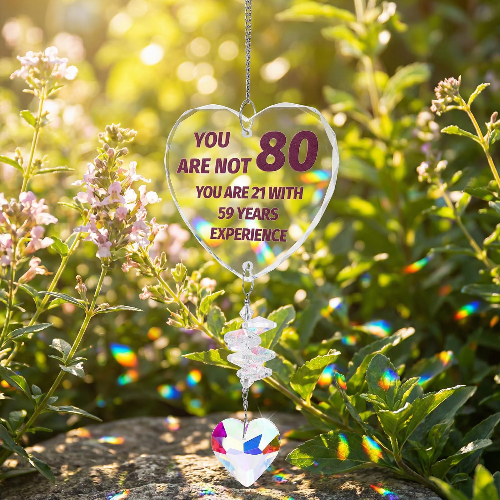 View 6