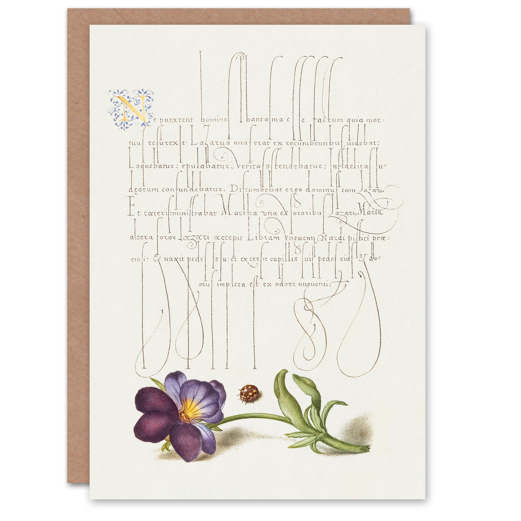 Artery8 Model Book of Calligraphy Art Card Ladybird and Wild Pansy