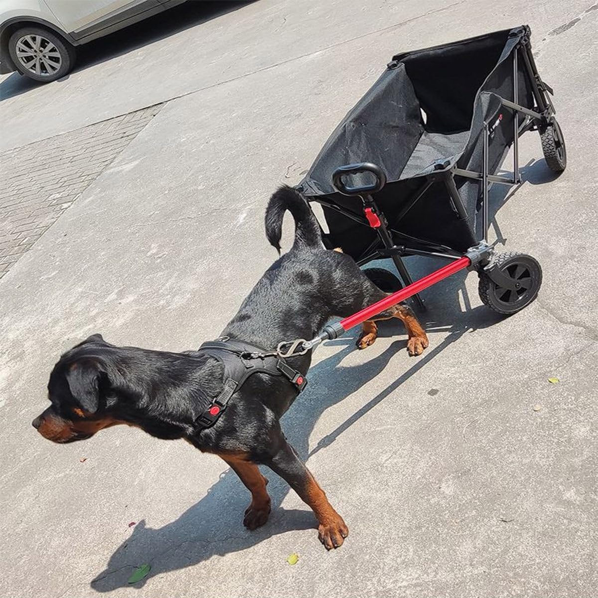 Fahrradanhänger Kupplungsstecker, Hund Katze Fahrradanhänger Anhängerkupplung Kinderanhänger Anhängerkupplung, für Camping Kind Cargo Scooter Elektrofahrrad, Tragfähigkeit 50kg (A)