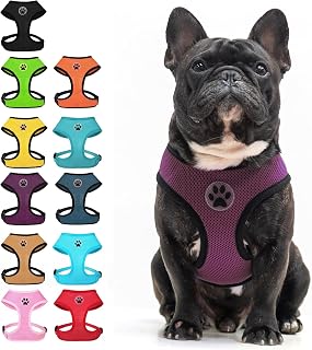 BINGPET Small Dog Harness, No Pull Step-in Puppy Pet Vest, Purple | Soft Light Breathable Air Mesh Puppy Harnesses, Easy on, Adjustable for Dogs and Cats, Walking, Running, Training, Medium