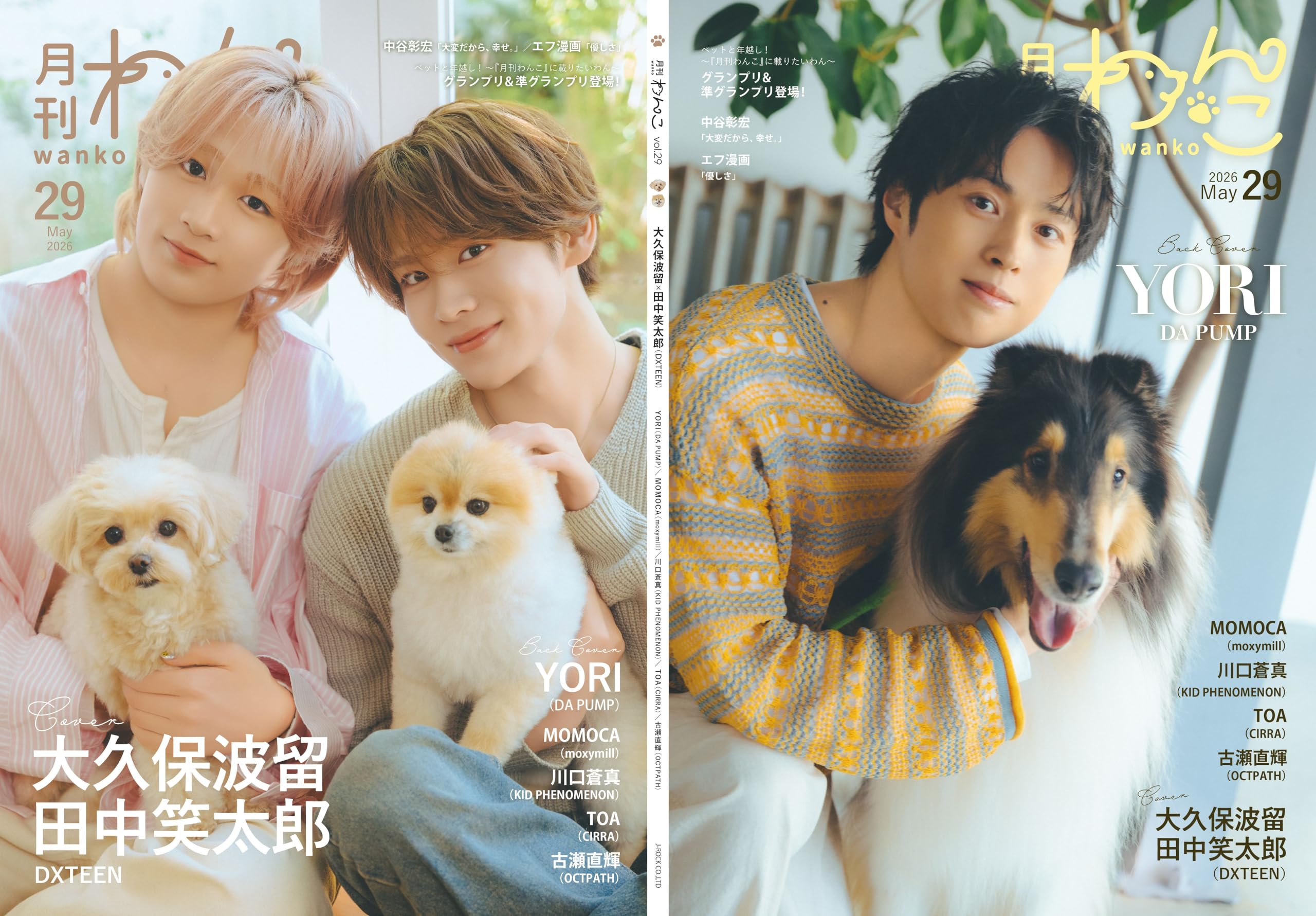 Amazon.co.jp: 月刊わんこvol.29 表紙巻頭特集：大久保波留・田中笑