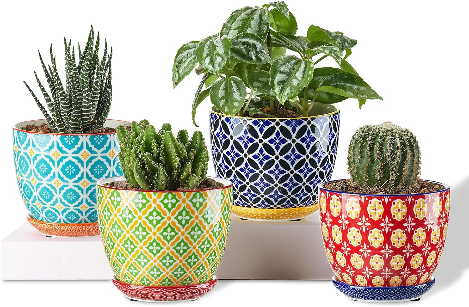 Metahom Succulent Ceramic Pots, 3.8 Inch Small Plant Pots with Drainage Hole & Saucer, Flower Planter Pot for Houseplants, Cacti, Home Decor, Set of 4, Vibrant Colors
