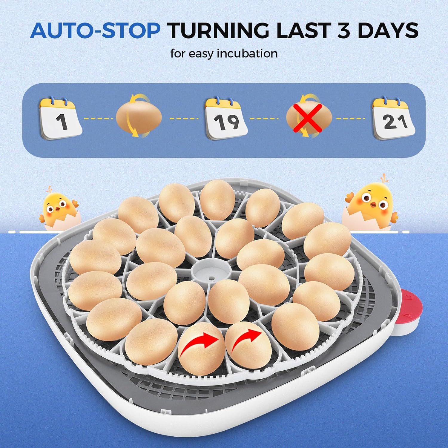 Sailnovo 24 Eggs Incubators for Chicken Eggs with 4 Modes, 360° View Digital Incubator with Automatic Egg Turning and Temperature Control, Egg Candler (Blue)