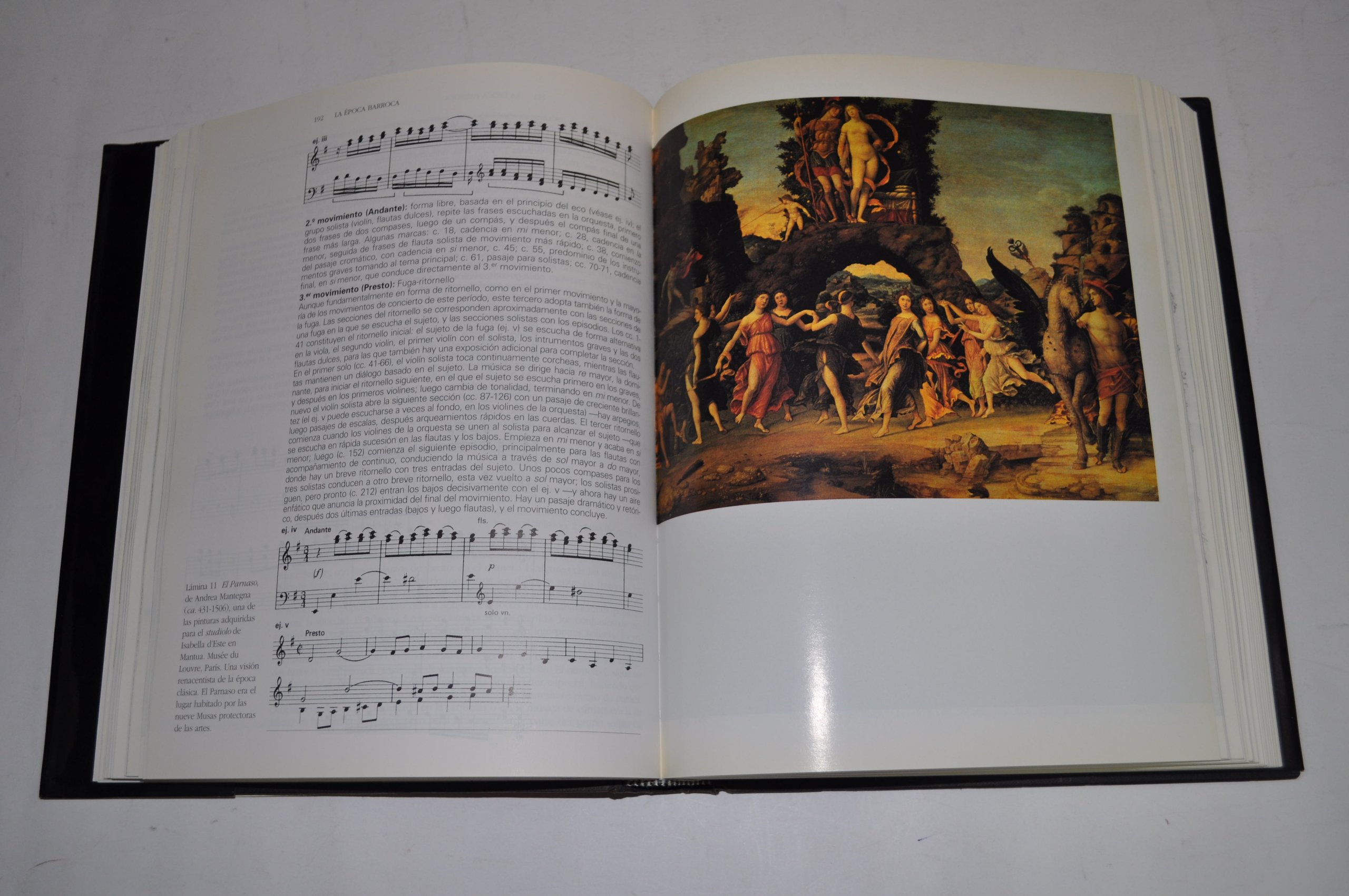 Guia Akal de la musica/ Stanley Sadie's Music Guide: 1007