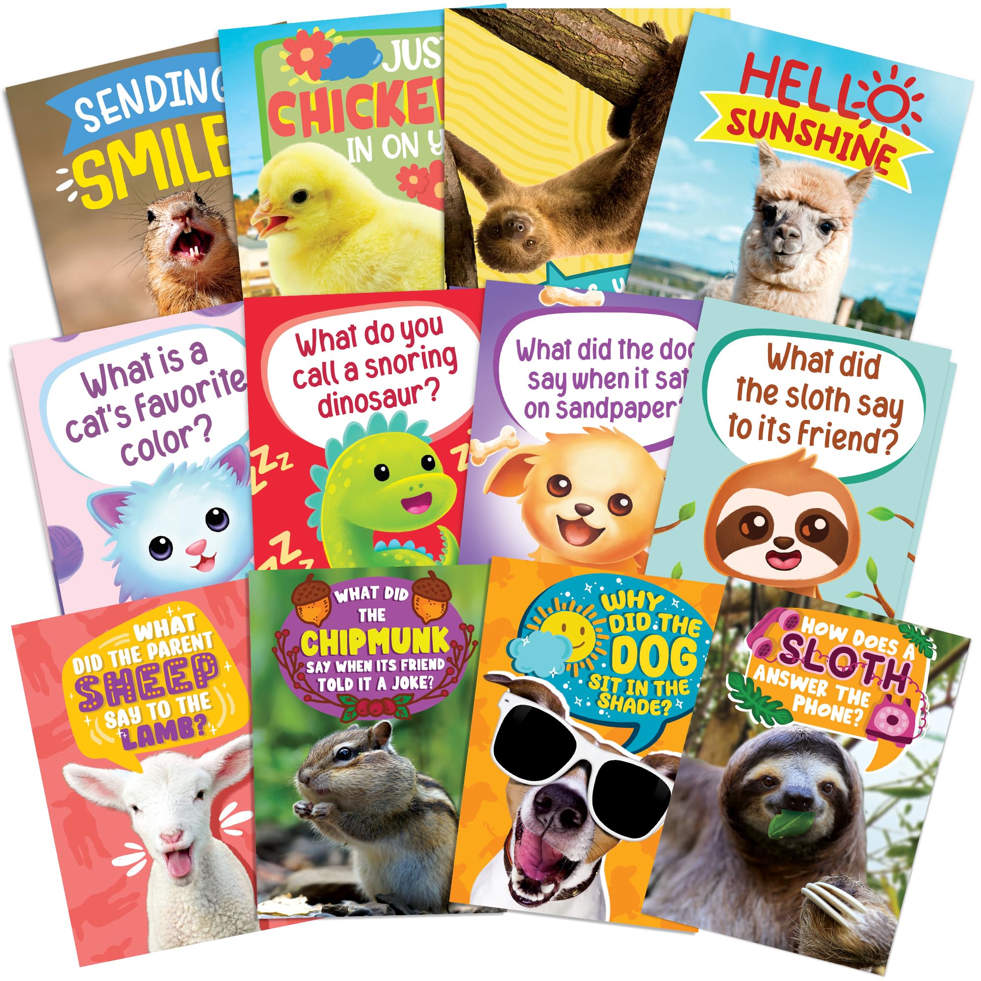 T MARIE 72 Funny Animal Notecard Set with Envelopes and Stickers - 4.5” x 6.25” Humorous Thinking of You Cards - Unique Designs with No Repeats Ideal