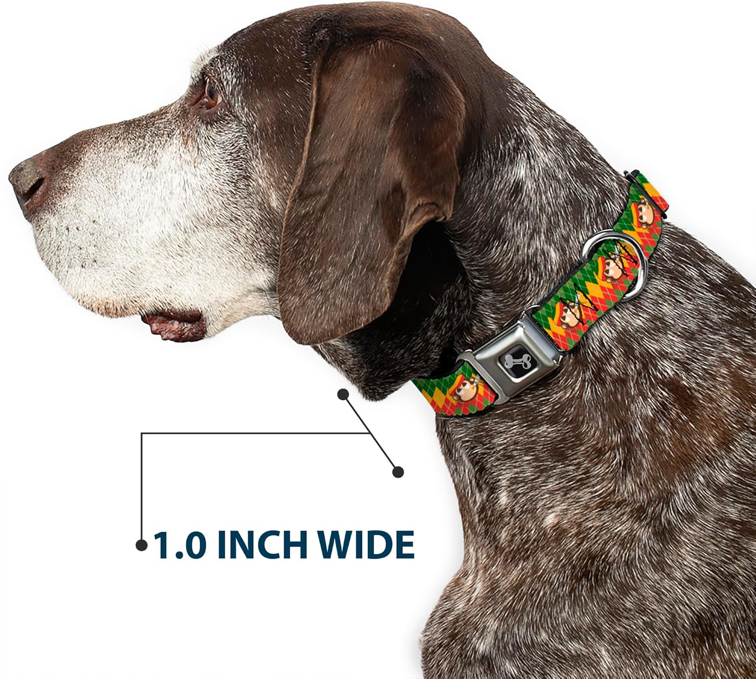 Buckle-Down Seatbelt Buckle Dog Collar - Smoking Monkey Repeat Argyle Rasta - 1" Wide - Fits 11-17" Neck - Medium