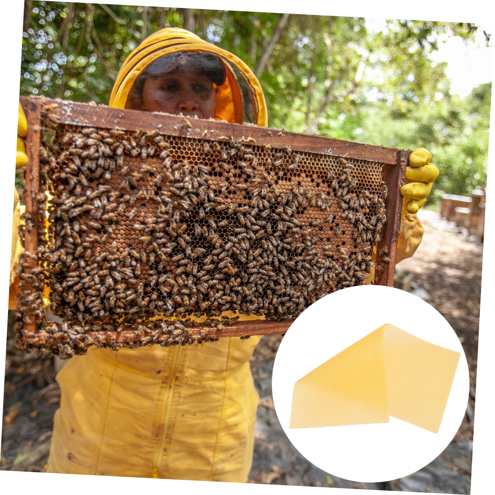 TOYANDONA 30 Láminas Base de Cera de Abejas para Colmenas Amarillas, Material de Cera Natural, Alta Producción y Rápido Anidado, para Fabricación de Velas y Apicultura