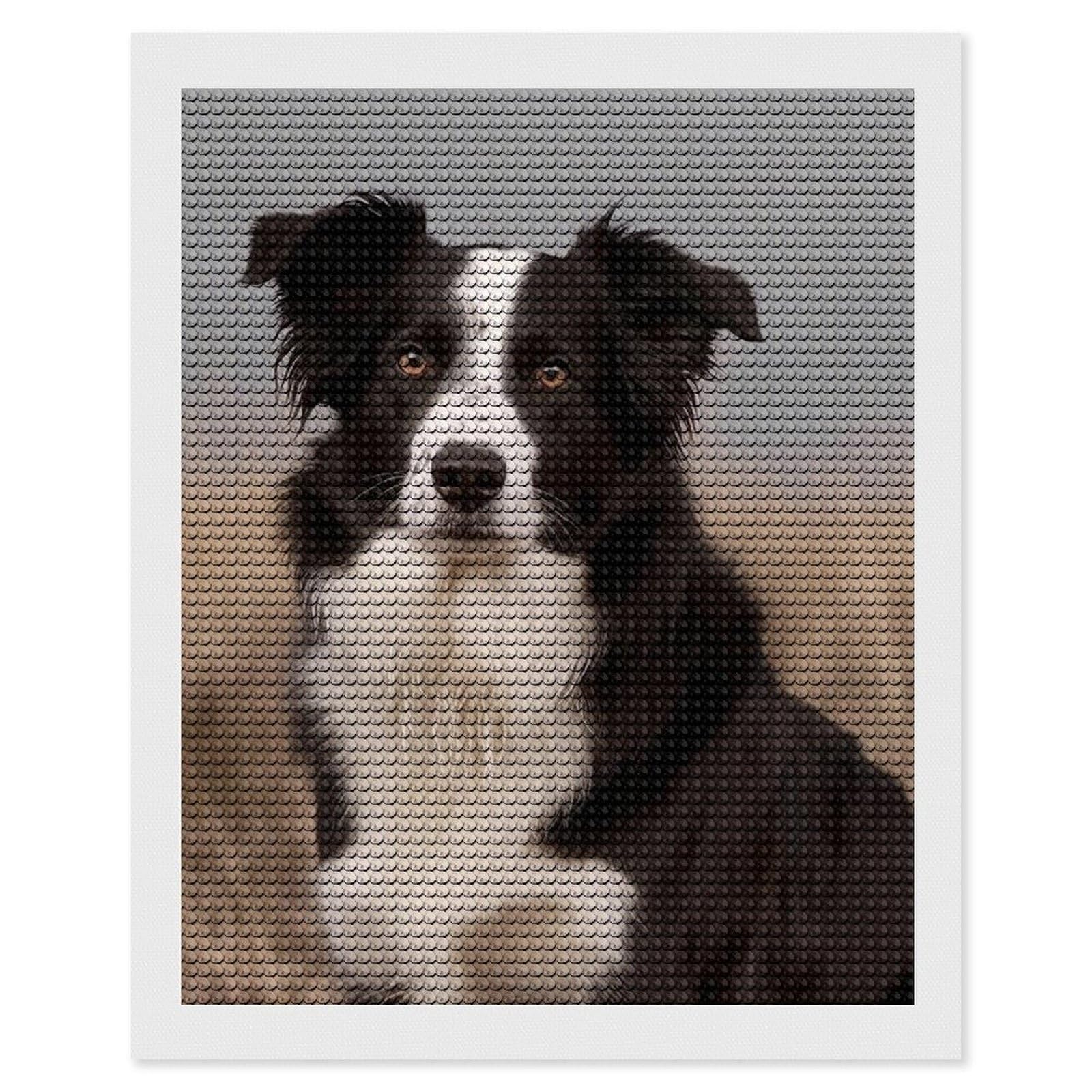FodPand Diamond Art Kits for Adults, 5D Aurora Diamond Painting Kits for Beginners, Border Collie DIY Full Drill Dots Gem Art Paint Crafts for Home Wall Decor 16"x20"