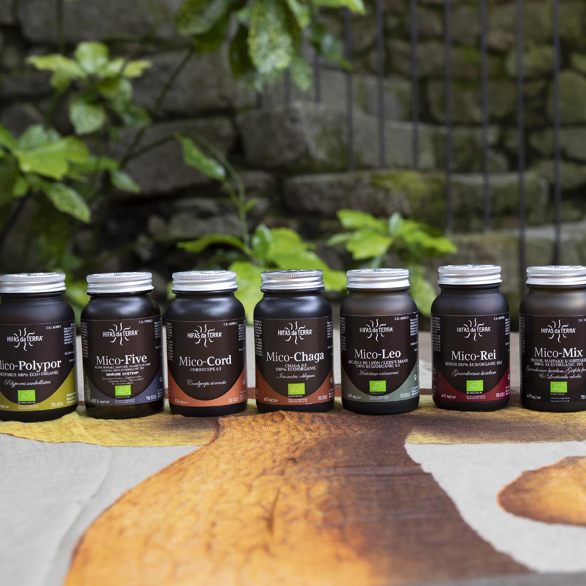 HIFAS DA TERRA - Mico-Leo Extracto Puro de Melena de León Hericium - Alta concentración de Beta-Glucanos y Vitamina C - Apoyo cognitivo, memoria, bienestar emocional e inmunitario - Refill 60 Cápsulas