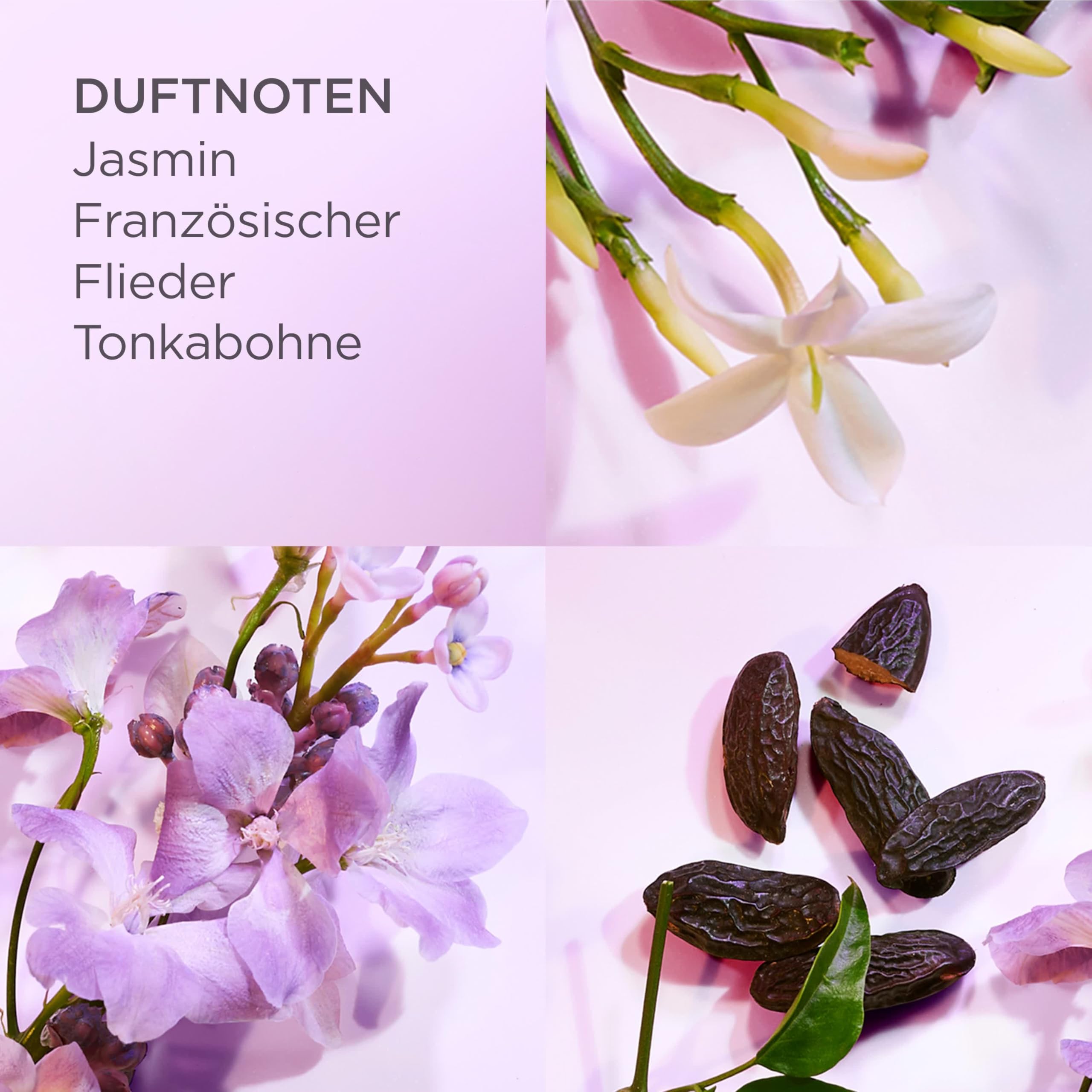 Elizabeth Arden – White Tea Eau Lilac, Eau de Toilette, Blumige und Moschusartige Duftnote mit Mandarine, Weißem Tee, Violettem Flieder und Moschus, Damenparfum, 100 ml