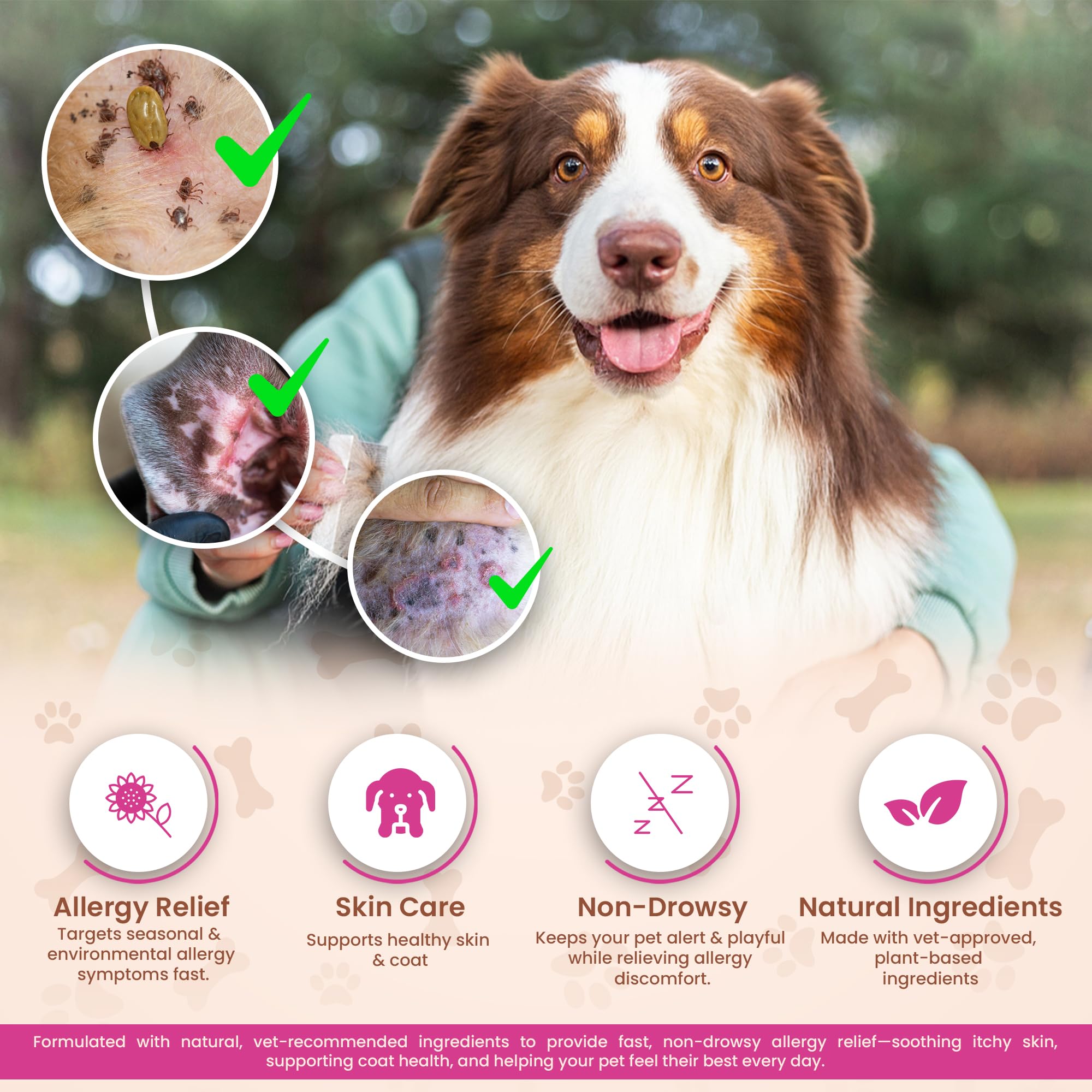 Pawfalls Allergy Relief Chews for Dogs, Itchy Skin, Hot Spots & Seasonal Allergy Support, Anti-Itch Supplement with Omega-3 - Image 2