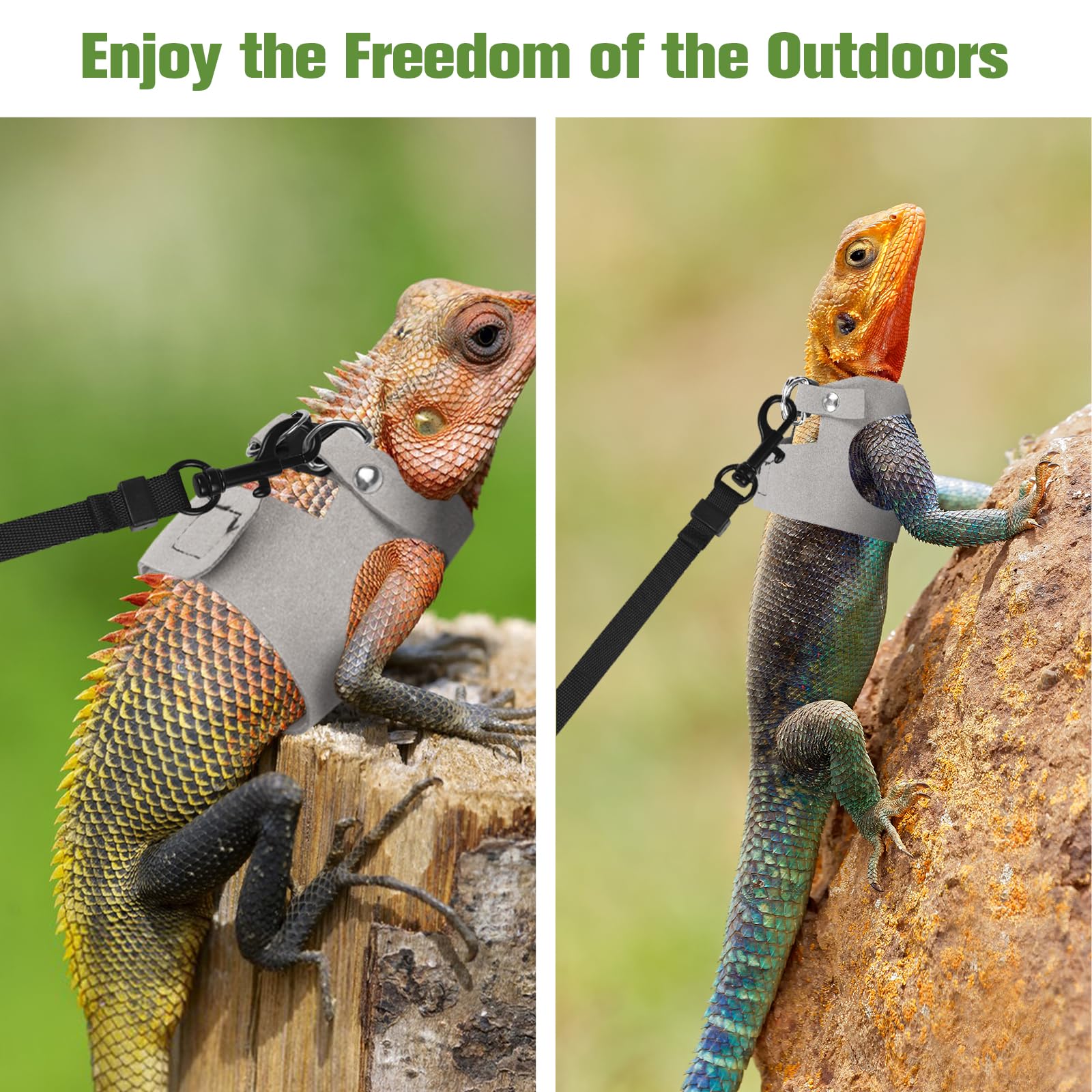 Ensemble harnais et laisse pour dragon barbu - 3 tailles ajustables - Gilet en cuir d'entraînement et de promenade pour lézards - Corde de traction anti-évasion pour petits reptiles