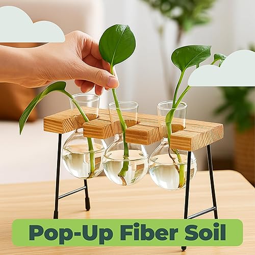 Miniatura 6 de Window Garden Jarrón de terrario para plantas de escritorio con tapa, juego de 3 - Jarrón de vidrio de propagación hidropónica - Recipiente de