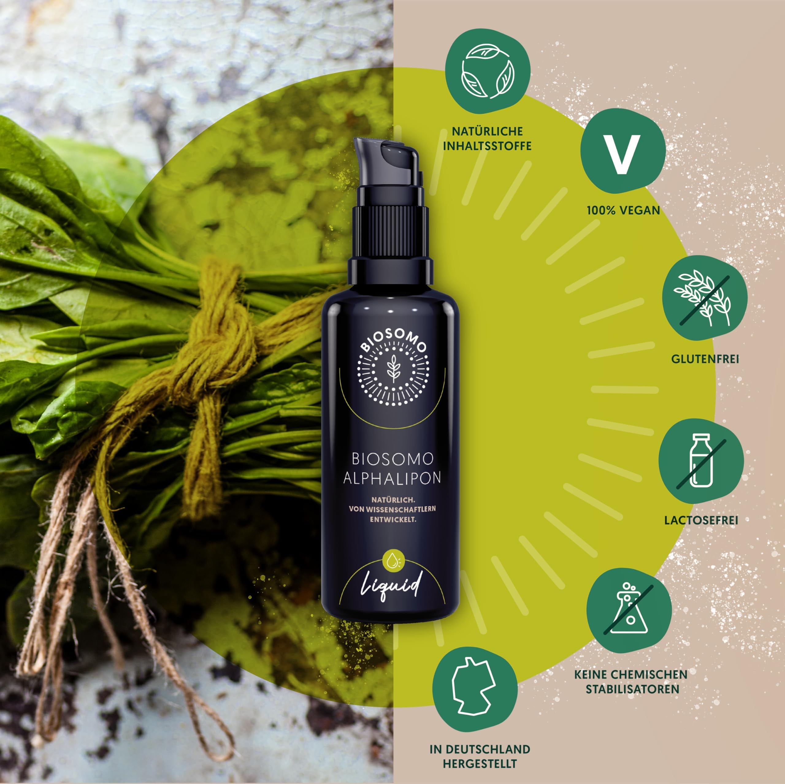 liposomale Alpha-Liponsäure - hochdosierte Liponsäure aus natürlichen Rohstoffen - Alpha Lipoic Acid - Alpha Liponsäure hochdosiert von Wissenschaftlern entwickelt - 50ml