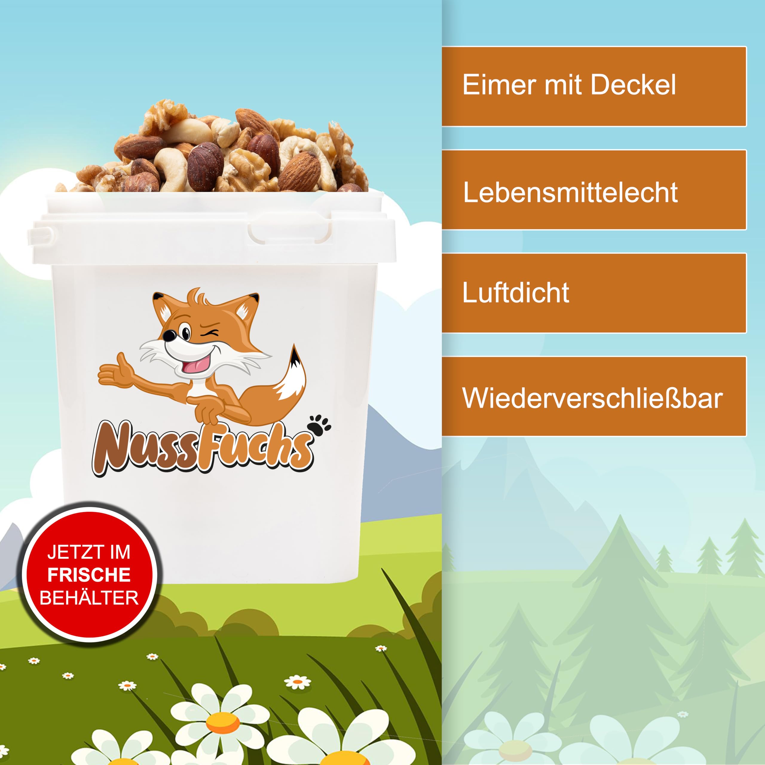 5er Nussmischung Natur - 1kg-3kg - Nuss Mix - 5 Sorten knackige Nusskernmischung - ungeröstet ungesalzen - Walnüsse Cashewkerne Mandeln Haselnüsse Mandeln blanchiert (3kg)