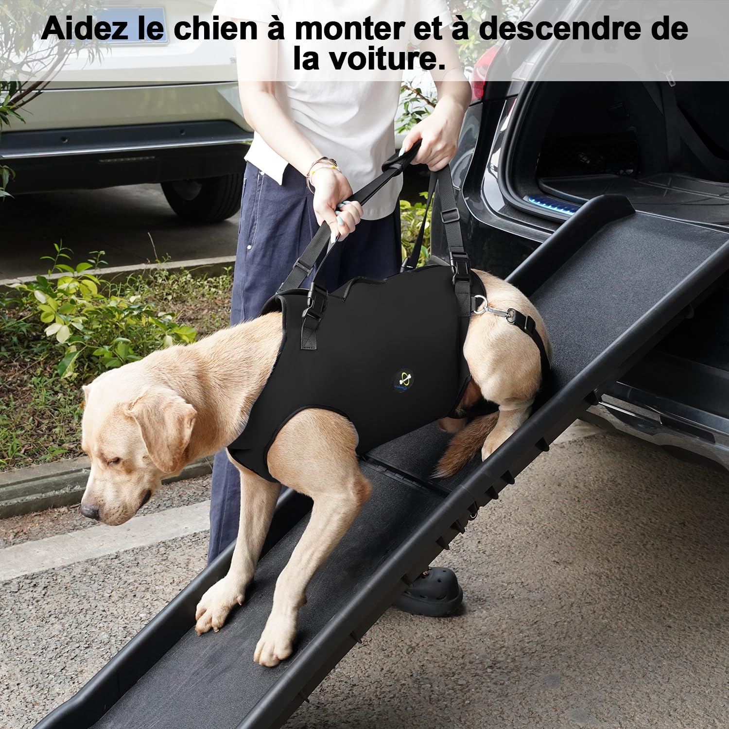 Harnais de Levage Coodeo pour Chien, élingue de rééducation avec Sangles Ajustables rembourrées Respirantes – Chiens âgés, handicapés, arthrite, blessures articulaires (Noir, XL)