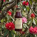 My Pahadi Dukan Himalayan Sea Buckthorn Concentrate Pulp 300ml and Buransh (Rhododendron) Juice 300ml | Rich in Omega & Vitamin C | No Added Sugar | Antioxidant | Heart & Skin Health Drink gallery image