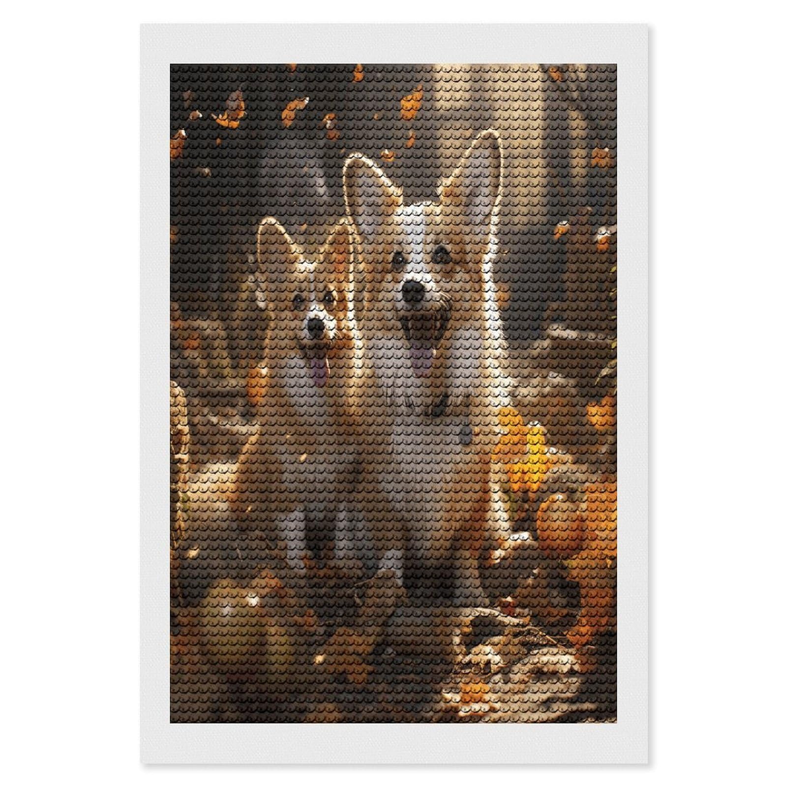 FekiLoot Diamond Art Kits for Adults, DIY 5D Two Corgis Diamond Painting Kits for Beginners, Full Round Drill Diamond Dots Painting Gem Art Crafts for Home Wall Decor & Gift 8"x12"