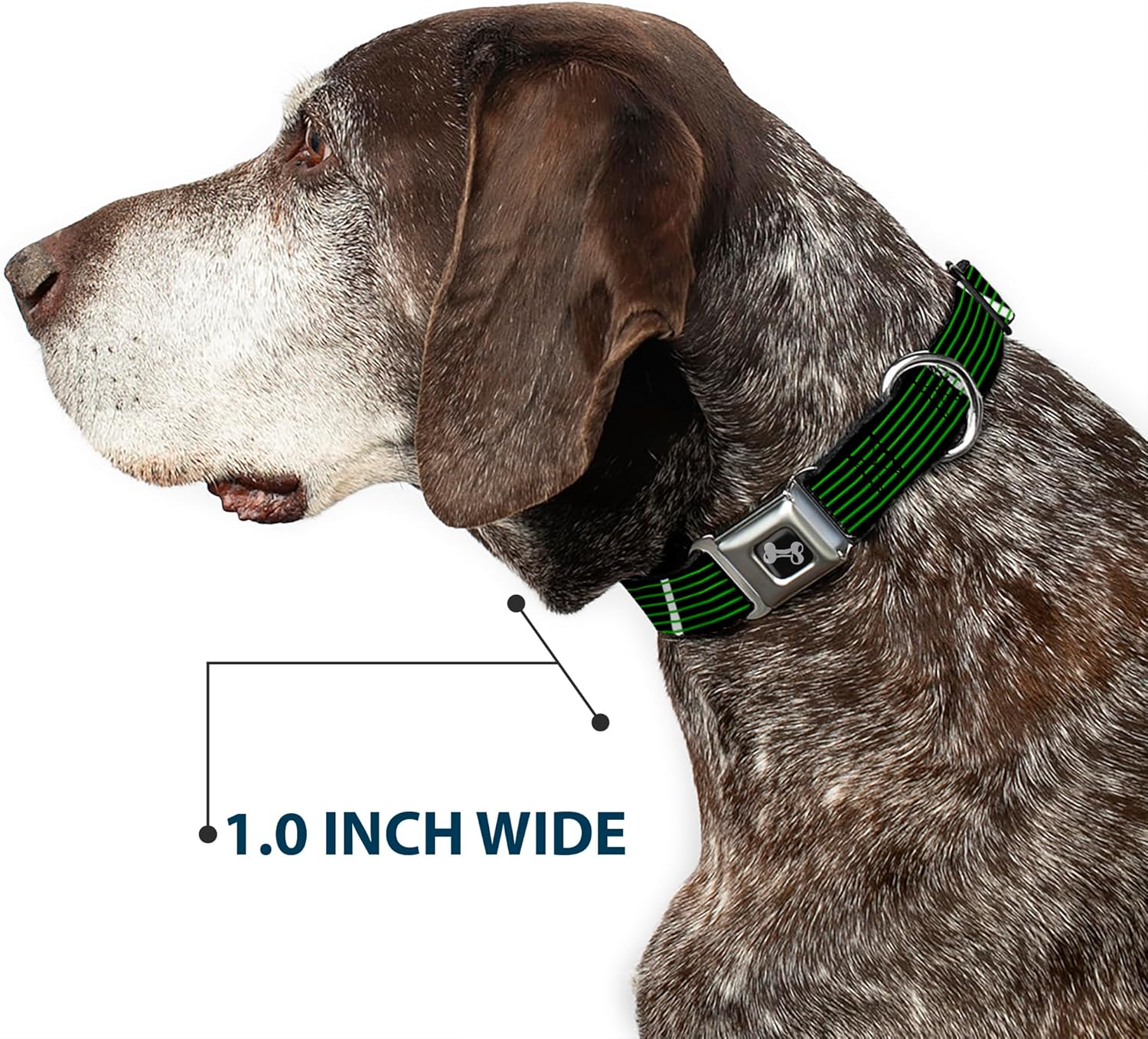 Buckle-Down Guitar Neck Black/White/Lime Green Dog Collar Bone, Medium/11-17, Multicolor