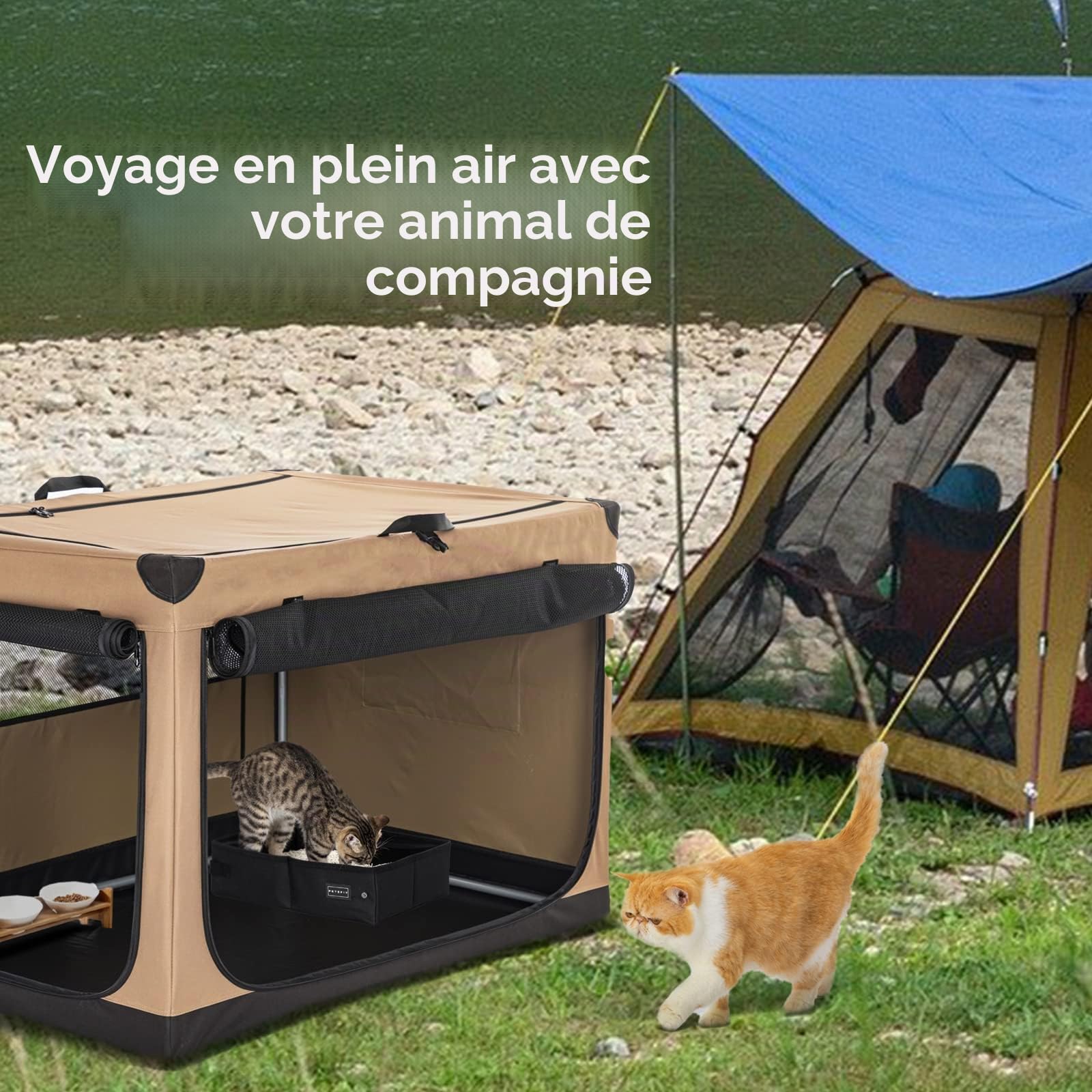 Petsfit Portable Litiere de Voyage pour Chat Pliable, Super étanche, Robuste et Durable, Lavable Bac à Litière transportable Chat pour Maison, Hôtel, Camping,XL Voiture, Bureau