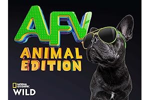 America's Funniest Home Videos: Animal Edition: Season 2 - Laughter-Filled Clips for the Whole Family