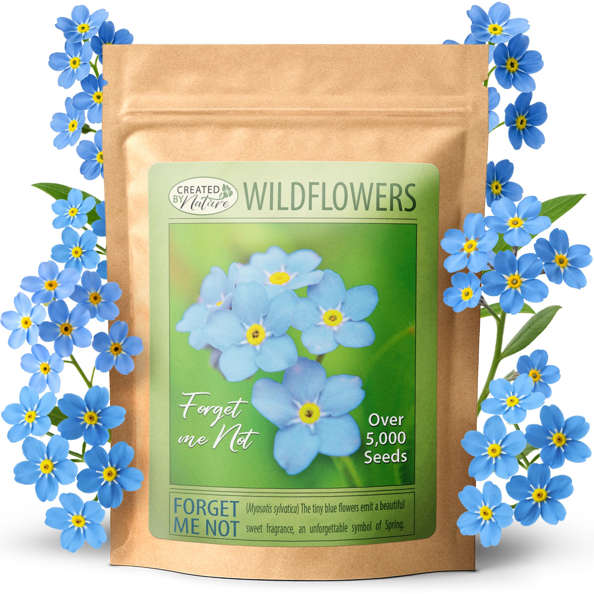 Amazon.com : Created by Nature Forget Me Not Seeds, 5,000 Blue Biennial  Wildflower Seeds : Patio, Lawn & Garden
